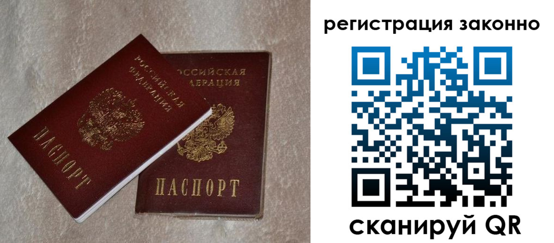 прописка законно в Волгоградской области